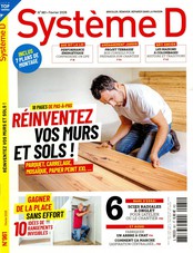 Système D