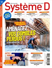 Système D